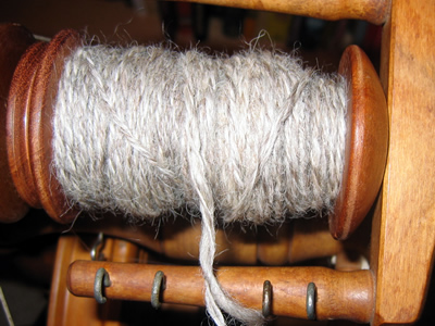 LeicesterLongwool5.jpg